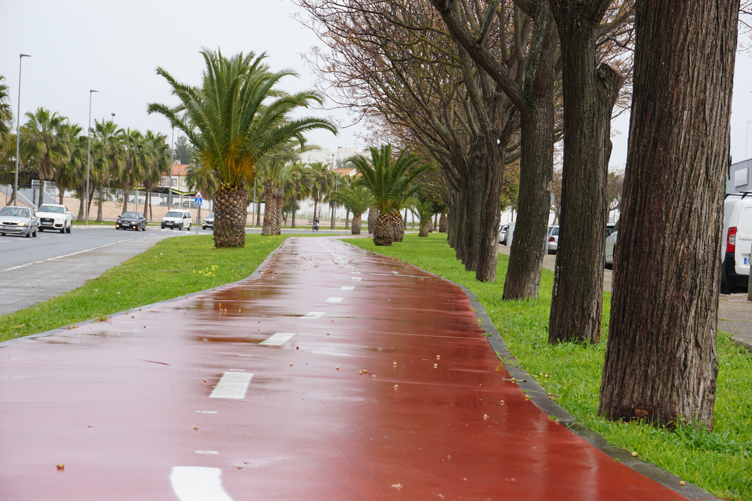 Carril-bici-Lebrija-2024-4