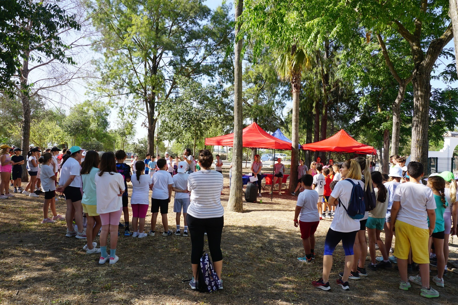 Dia-Mundial-del-Medio-Ambiente-2024-10