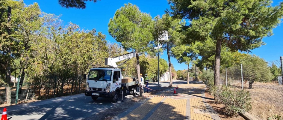 PROYECTO-MODERNIZACION-LUMINARIAS-3